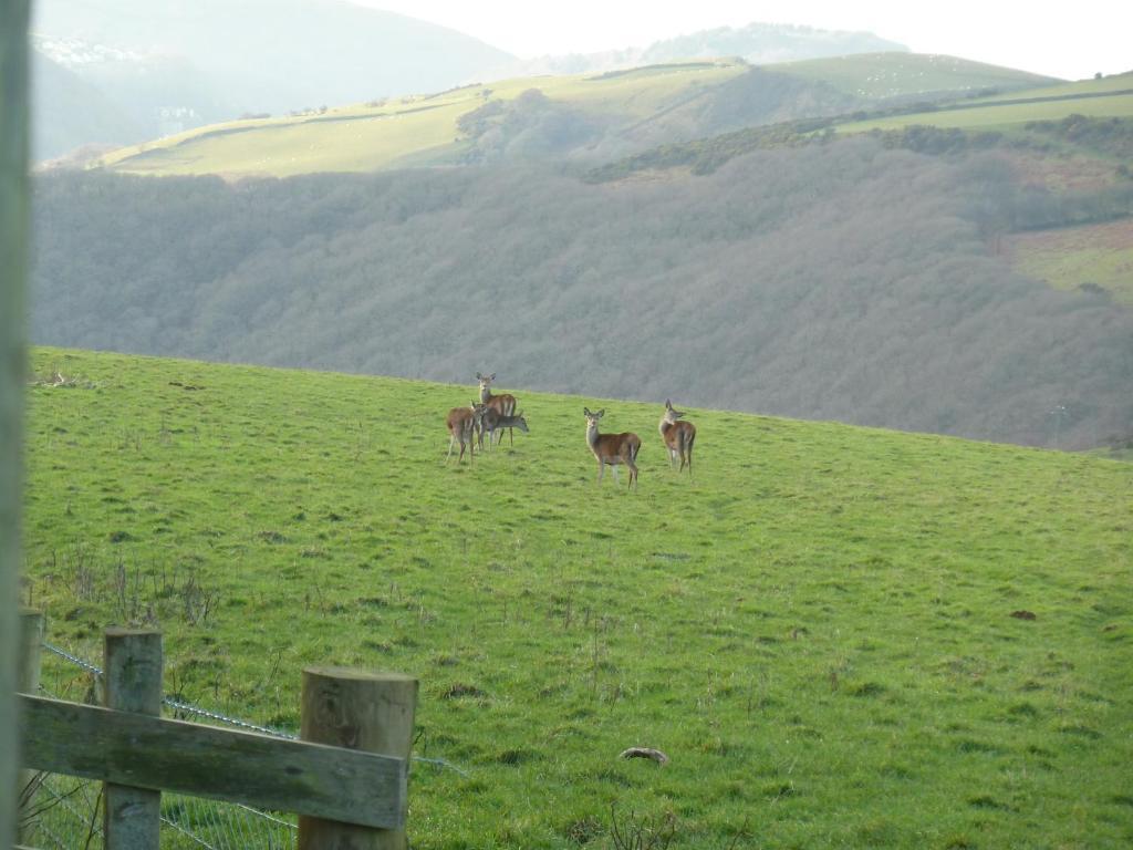 Wilsham Farm 3*